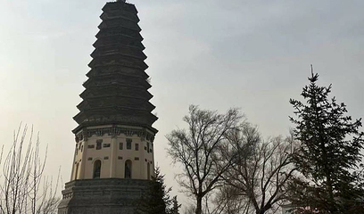 崇寿寺塔第 1 张图片