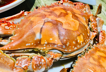 墟沟海鲜美食城(海棠中路店)第 6 张图片