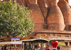 东风韵葡萄艺术节