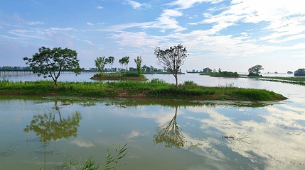 洪泽湖湿地第 1 张图片
