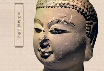 西北大学博物馆第 15 张图片