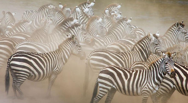 雨山湖公园-动物园