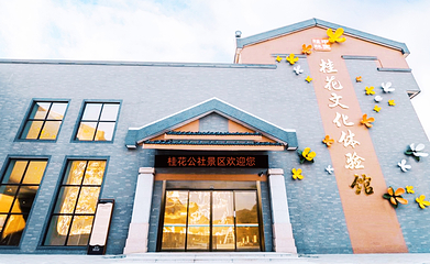 桂花公社第 1 张图片