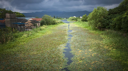长田漾湿地公园第 1 张图片