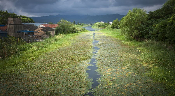 长田漾湿地公园