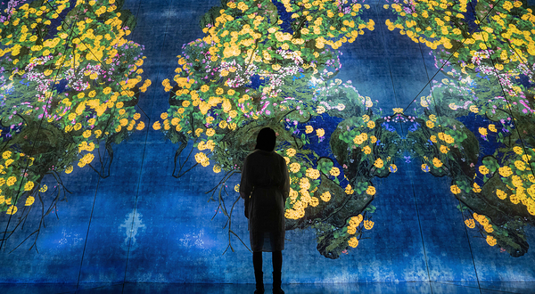 teamLab无相艺术空间