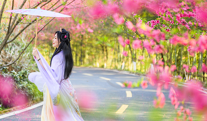 花乡茶谷旅游景区第 63 张图片