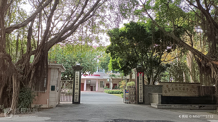 三岭山国家森林公园第 3 张图片