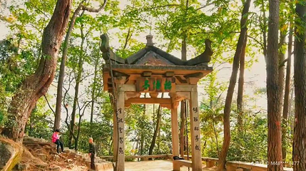 太鹤山公园第 1 张图片