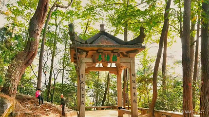 太鹤山公园第 4 张图片