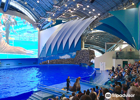 滨海边疆区的水族馆