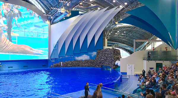 滨海边疆区的水族馆