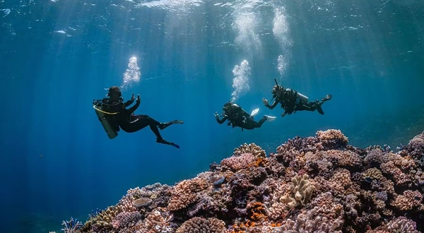 云南零海拔PADI五星教练发展中心