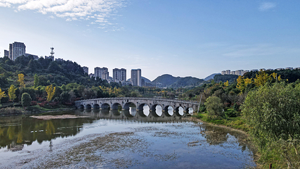 新蒲湿地公园第 4 张图片