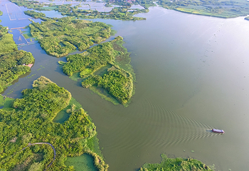 下渚湖·湿地公园第 57 张图片