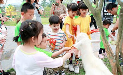 东部新区种子乐园第 134 张图片