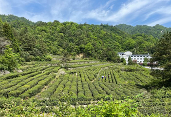 挪步园第 1 张图片