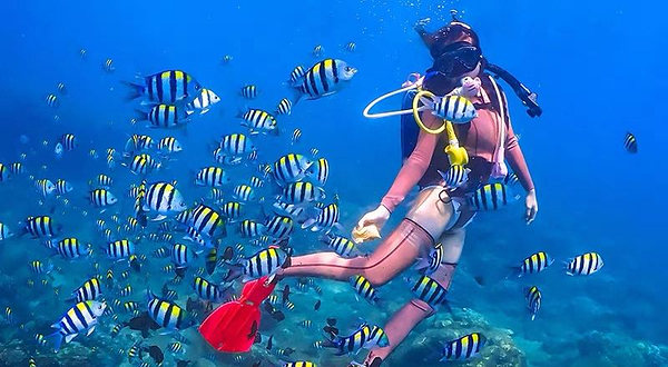 晟浪水上俱乐部