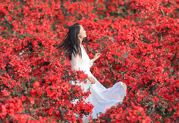问花村第 51 张图片