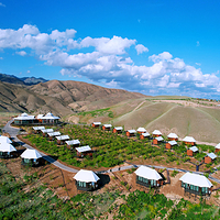 伊犁天山花海景区