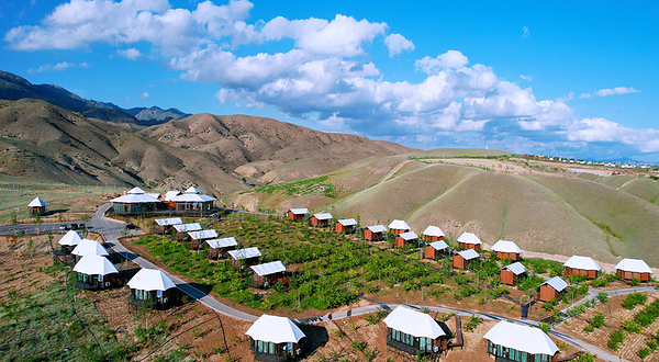 伊犁天山花海景区