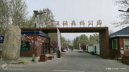 博兴县打渔张森林公园第 2 张图片