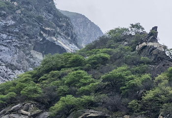 华山第 187 张图片
