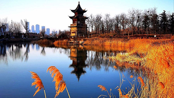 青岛唐岛湾国家湿地公园