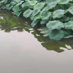 泸州东岩公园