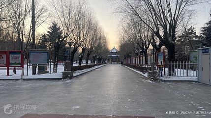 西岗公园第 2 张图片