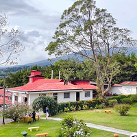 Doka Estate Costa Rica Coffee Tour and Plantation