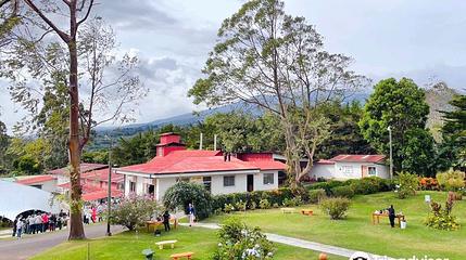 Doka Estate Costa Rica Coffee Tour and Plantation第 1 张图片
