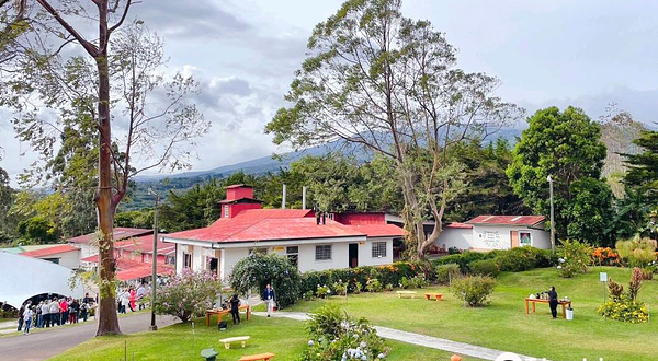 Doka Estate Costa Rica Coffee Tour and Plantation