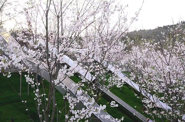 汤山矿坑公园第 31 张图片
