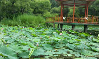 八五五农场公园