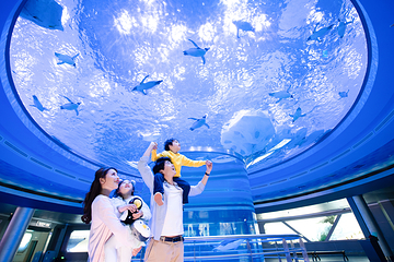 上海海昌海洋公园第 511 张图片