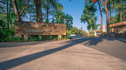 广东树木公园第 1 张图片