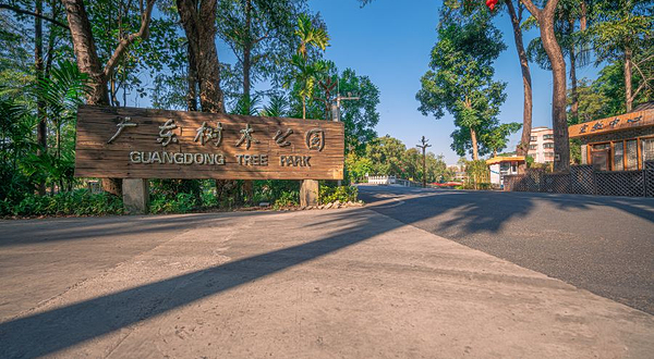 广东树木公园