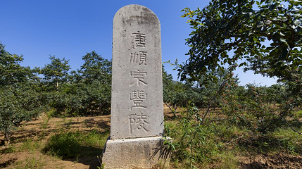 唐顺宗丰陵第 1 张图片