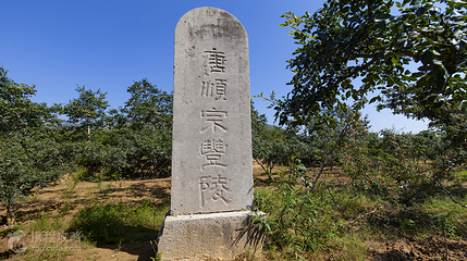 唐顺宗丰陵第 2 张图片