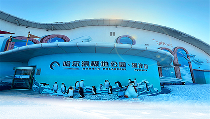 哈尔滨极地公园第 52 张图片