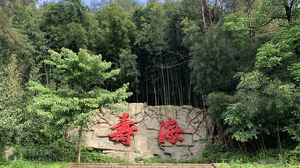 百里竹海-寿海景区第 4 张图片