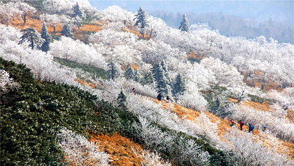 凤凰山国家森林公园第 46 张图片