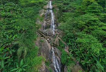 海南百花岭热带雨林文化旅游区第 37 张图片
