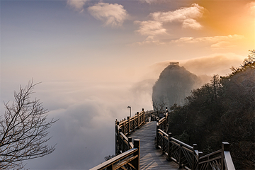 天门山国家森林公园第 163 张图片
