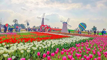 内江永博农业公园