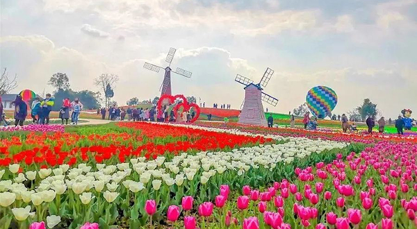 内江永博农业公园