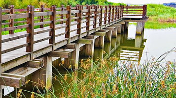 吴淞炮台湾湿地森林公园