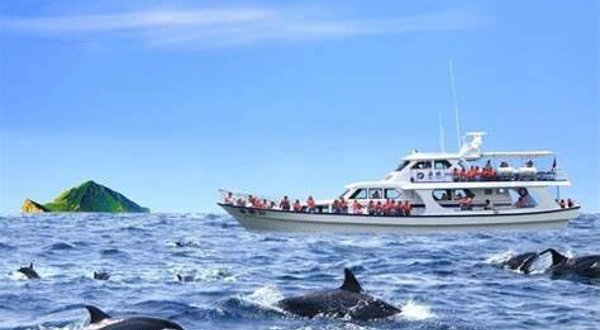 宜兰头城区渔会赏鲸船
