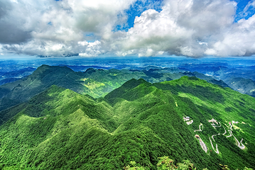 金佛山北坡景区第 11 张图片